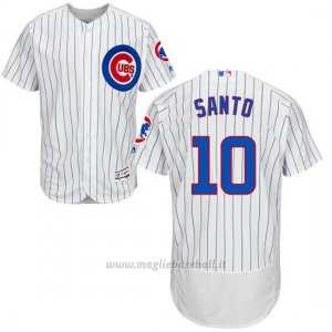 Maglia Baseball Uomo Chicago Cubs 10 Ron Santo Majestic Autentico Collezione Bianco Flex Base