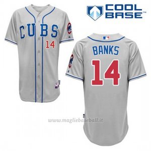 Maglia Baseball Uomo Chicago Cubs 14 Ernie Banks Grigio Alterner Cool Base