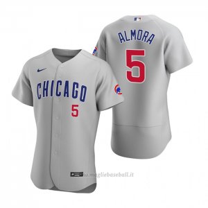 Maglia Baseball Uomo Chicago Cubs Albert Almora Jr. Autentico 2020 Road Grigio