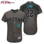 Maglia Baseball Uomo Arizona Diamondbacks 22 Jake Lamb Grigio Aqua Alterner 20 Anniversario Flex Base