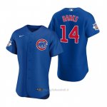 Maglia Baseball Uomo Chicago Cubs Ernie Banks Autentico 2020 Alternato Blu