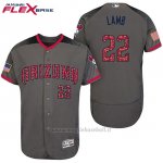 Maglia Baseball Uomo Arizona Diamondbacks 2017 Estrellas y Rayas 22 Jake Lamb Grigio Flex Base