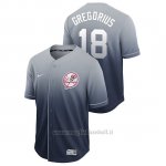 Maglia Baseball Uomo New York Yankees Didi Gregorius Fade Autentico Blu