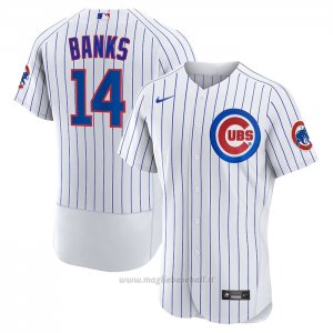 Maglia Baseball Uomo Chicago Cubs Ernie Banks Home Autentico Retired Bianco